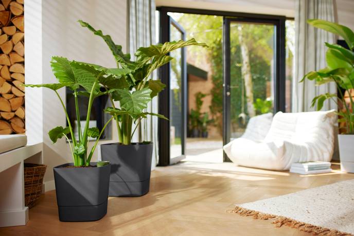 greensense aqua care carré 38cm gris charbon